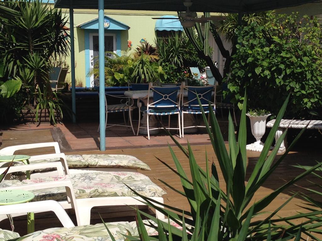 הוליווד Angelfish Inn מראה חיצוני תמונה
